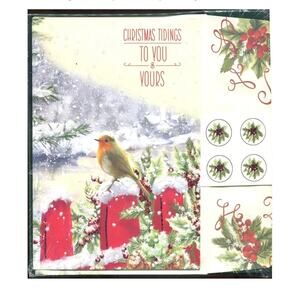 15 Special Thoughts Snowy Bird Christmas Cards & Envelopes, 20 Foil Seals New!